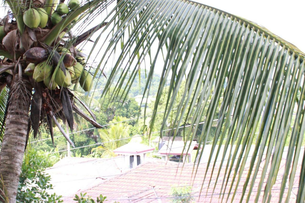 Resident View Homestay Kandy Ngoại thất bức ảnh